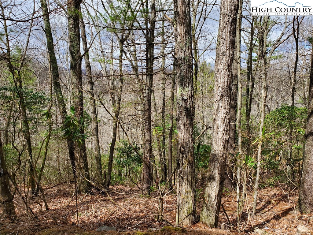 Lot 7 River Ridge Road Boone, NC 28607 - Photo 5 of 8 Gallery Image 5