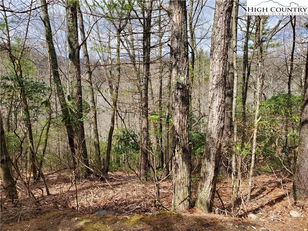 Lot 7 River Ridge Road Boone, NC 28607 - Photo 6 of 8 Gallery Image 6