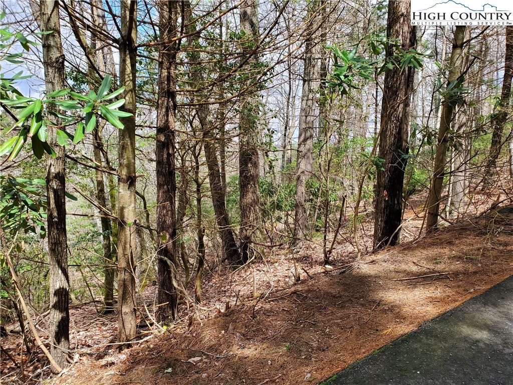 Lot 7 River Ridge Road Boone, NC 28607 - Photo 7 of 8 Gallery Image 7