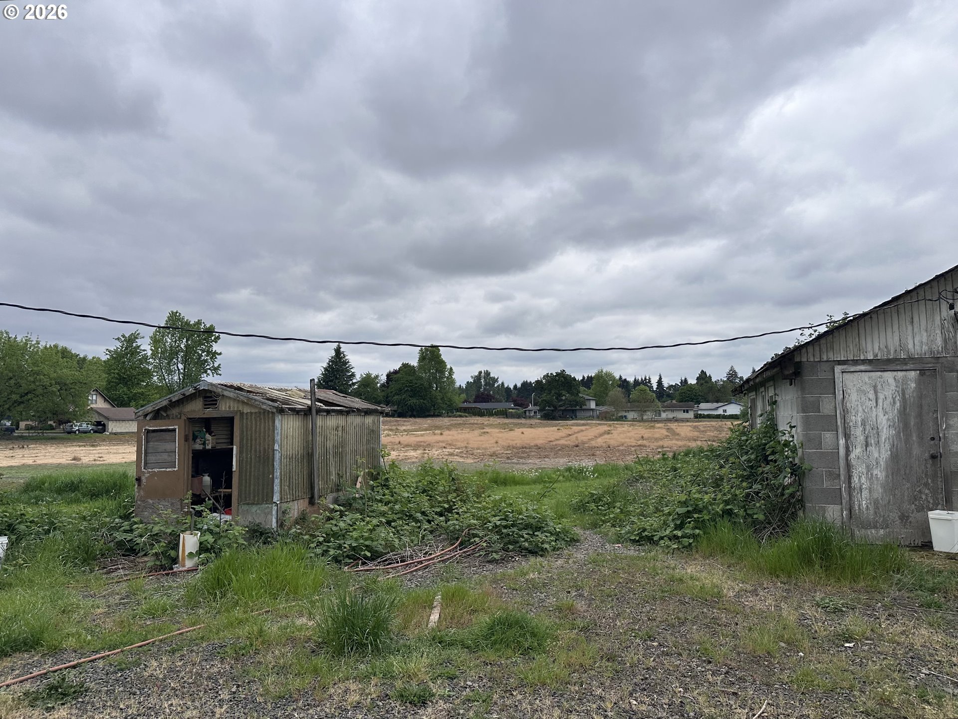 12374 West Church Road Northeast Mount Angel, OR 97362 - Photo 4 of 7