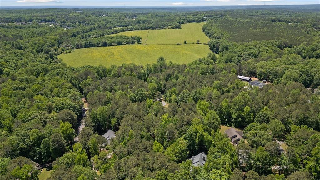 2058 Sewanee Court Villa Rica, GA 30180 - Photo 76 of 91 an aerial view of residential houses with outdoor space and trees