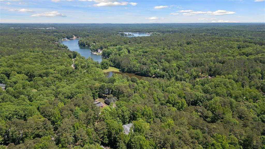 2058 Sewanee Court Villa Rica, GA 30180 - Photo 80 of 91 an aerial view of residential houses with outdoor space and trees