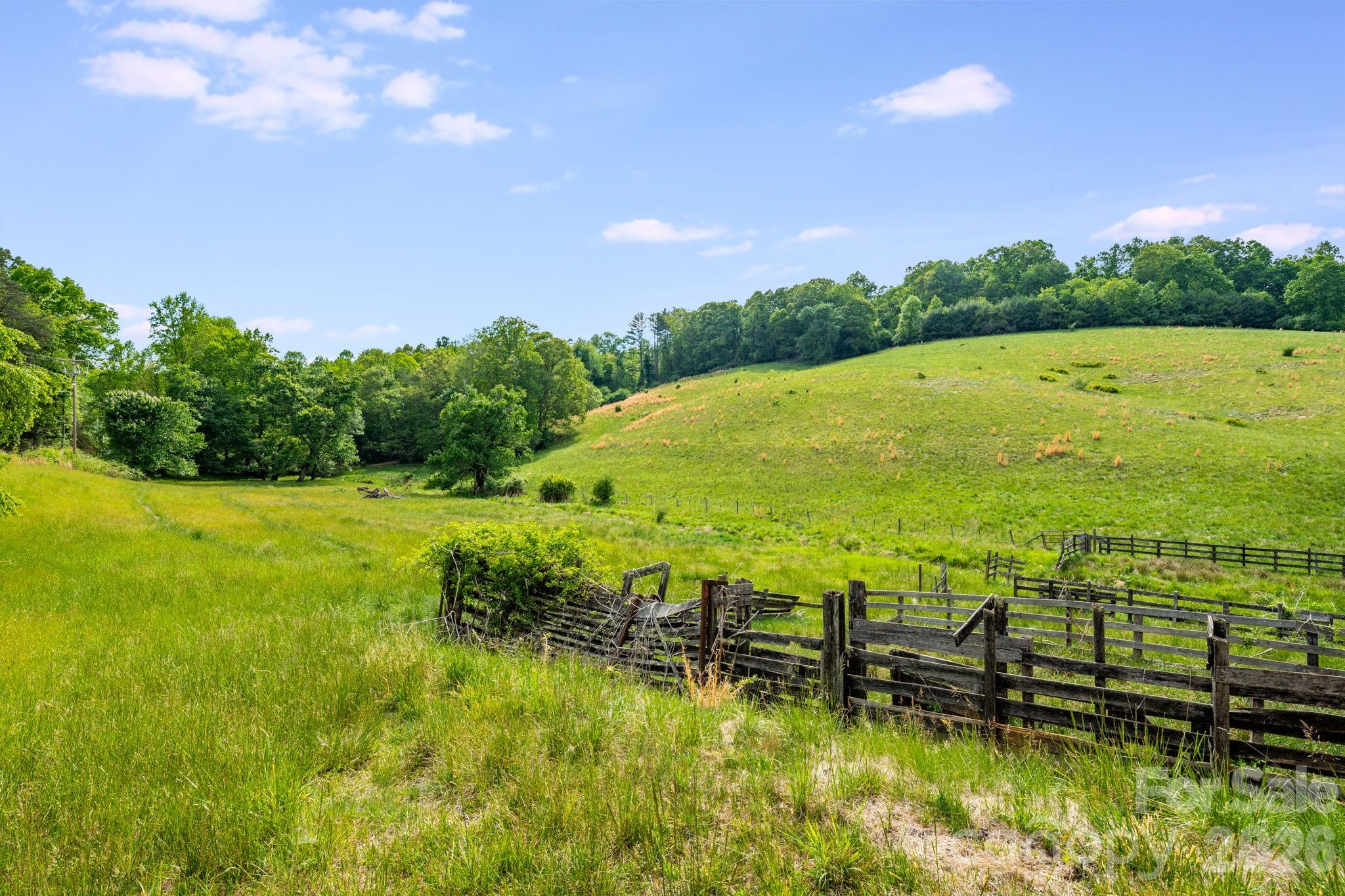435 Upper Glady Fork Road Candler, NC 28715 - Photo 2 of 48