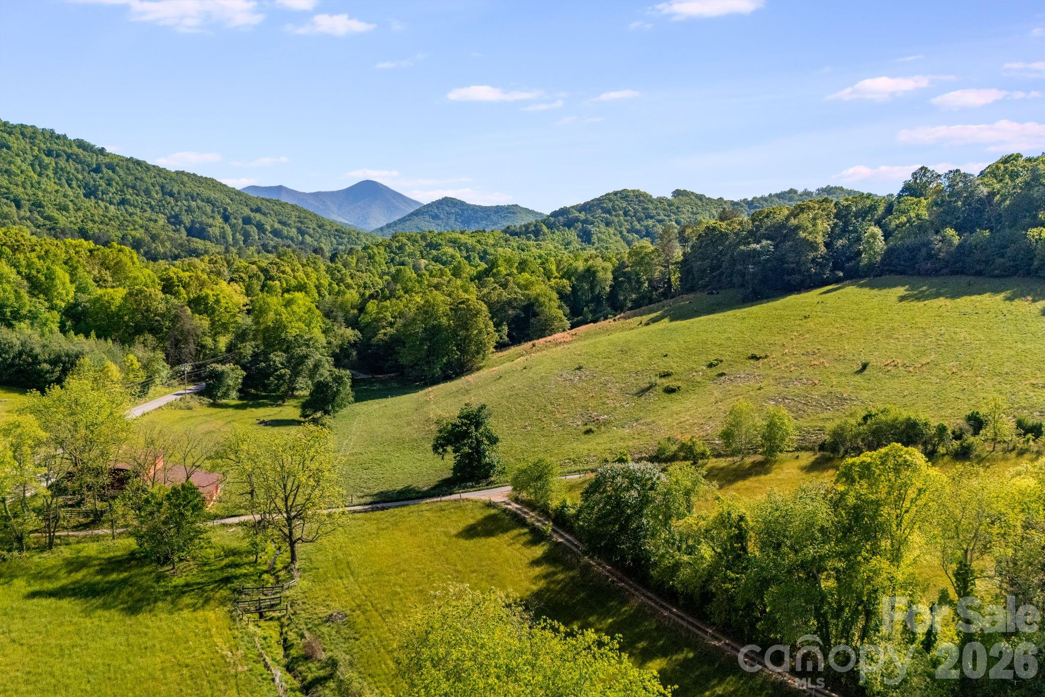435 Upper Glady Fork Road Candler, NC 28715 - Photo 31 of 48