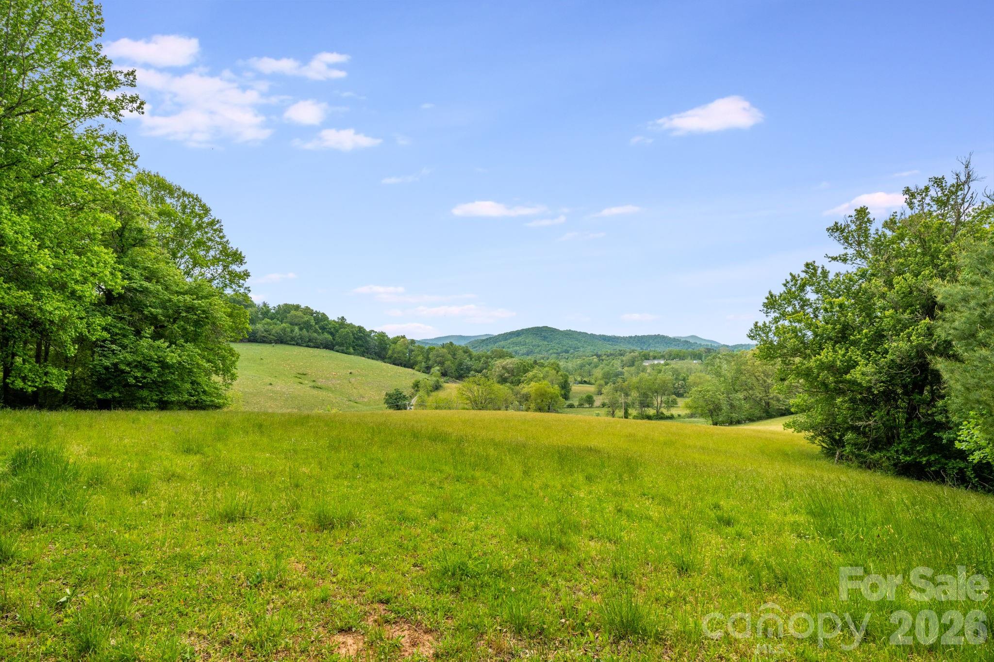 435 Upper Glady Fork Road Candler, NC 28715 - Photo 32 of 48