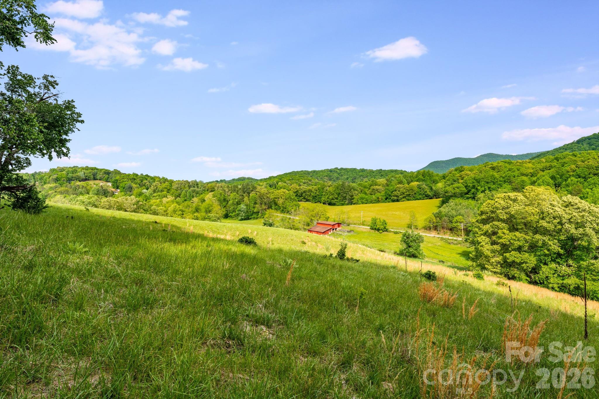 435 Upper Glady Fork Road Candler, NC 28715 - Photo 33 of 48