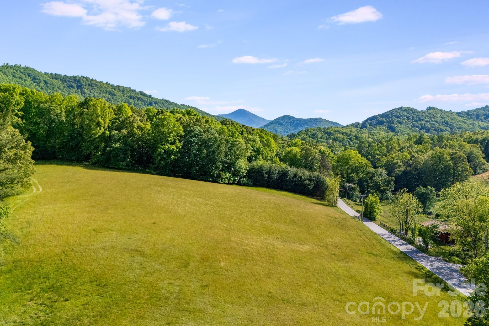 435 Upper Glady Fork Road Candler, NC 28715 - Photo 34 of 48