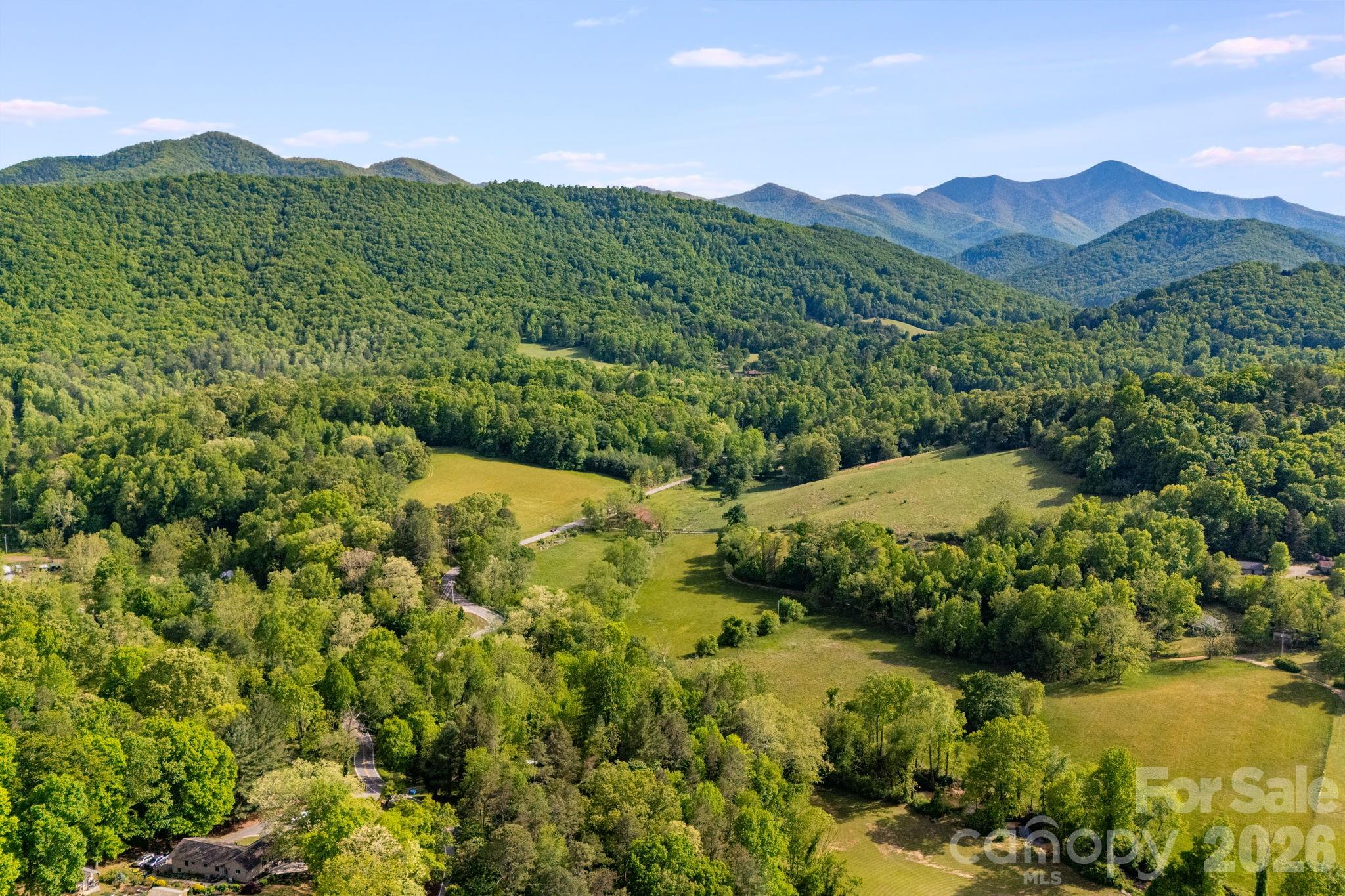 435 Upper Glady Fork Road Candler, NC 28715 - Photo 43 of 48