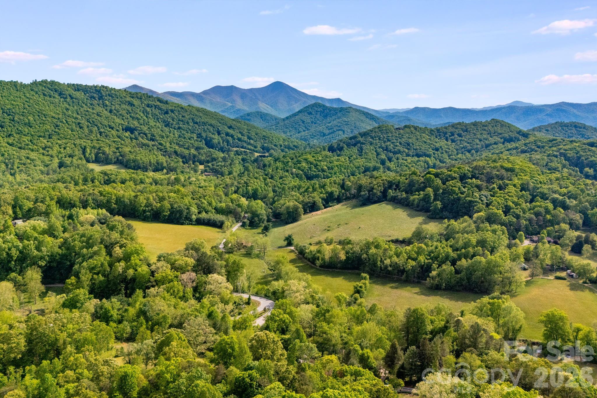 435 Upper Glady Fork Road Candler, NC 28715 - Photo 44 of 48