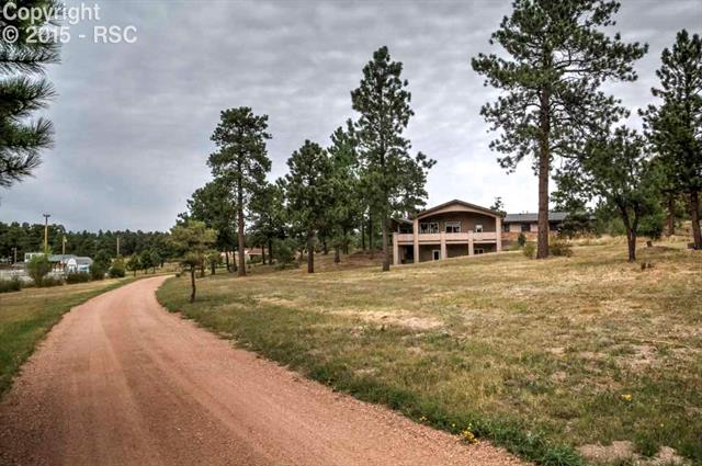 6520 Old Ranch Road Colorado Springs, CO 80908 - Photo 3 of 26 Beautiful Secluded Drive Tree Lined by Tall Pines