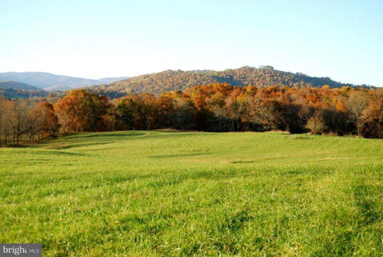 1 Richmond Road Rixeyville, VA 22737 - Photo 9 of 13 Exterior (Front)