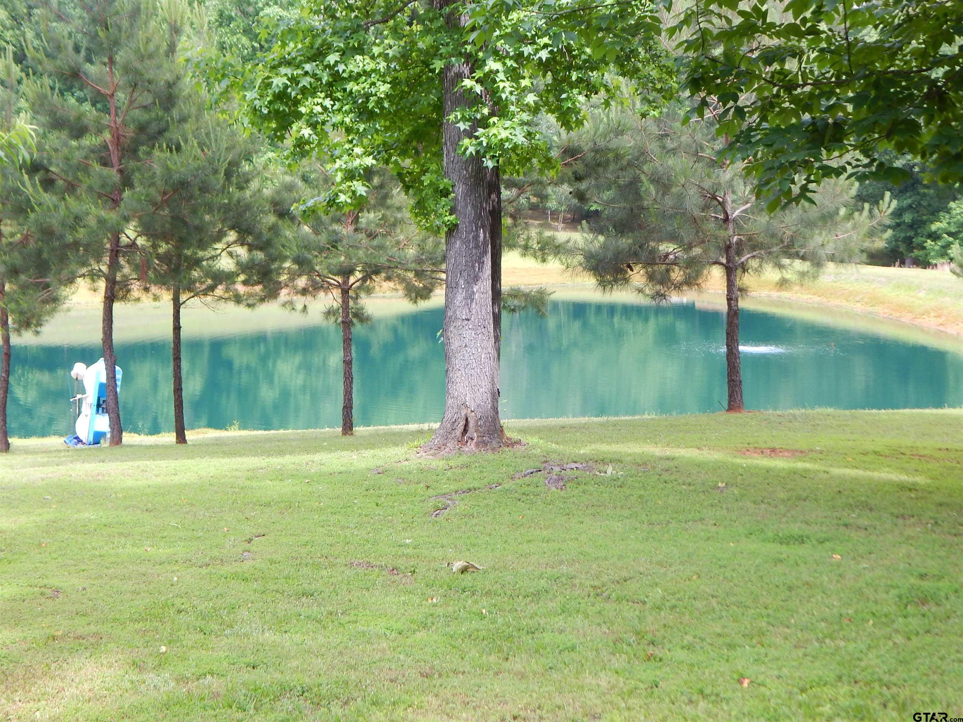 1106 Tall Timbers Road Gilmer, TX 75645 - Photo 4 of 28