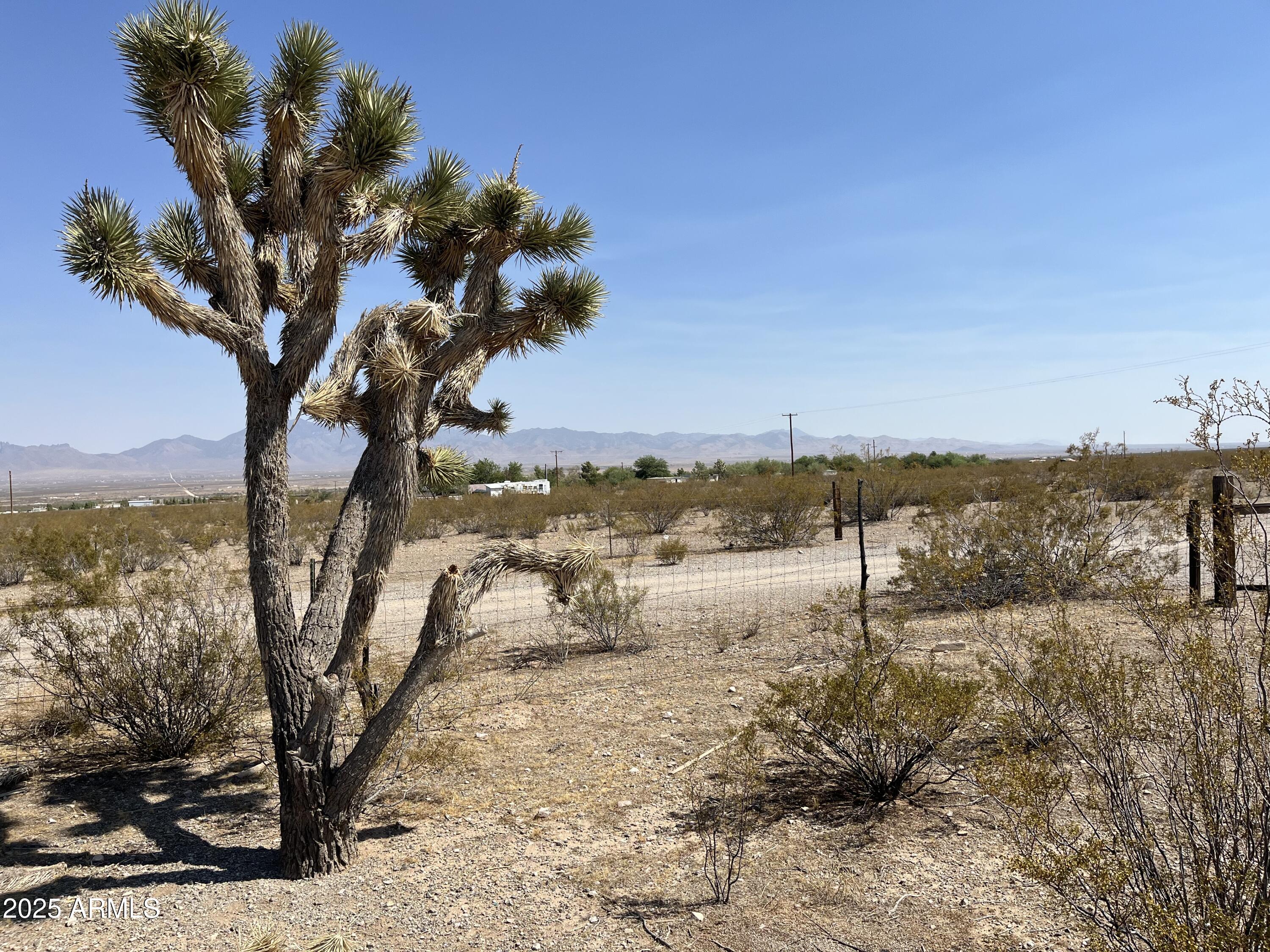 368 North Ln Dolan Springs, Unit 368 Dolan Springs, AZ 86441 - Photo 1 of 14