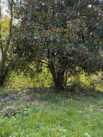 $3,000 | 0 Cotton Street, Denmark, SC 29042