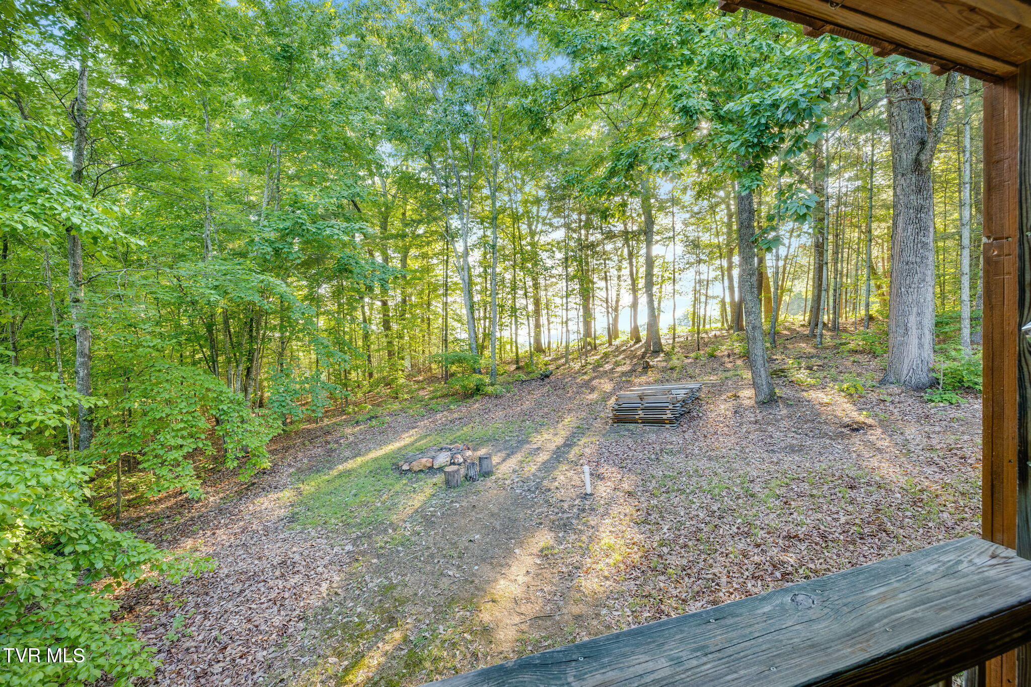 200 Preacher Laws Road Afton, TN 37616 - Photo 22 of 30 007