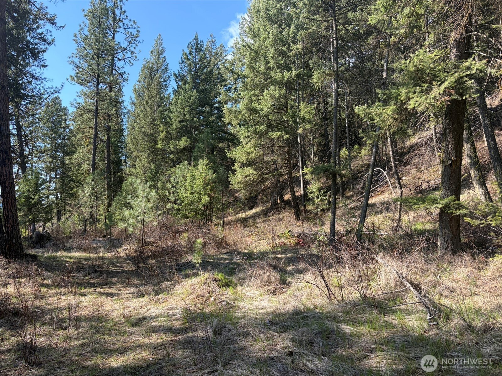 111-tbd West Curlew Lake Road Republic, WA 99166 - Photo 5 of 17