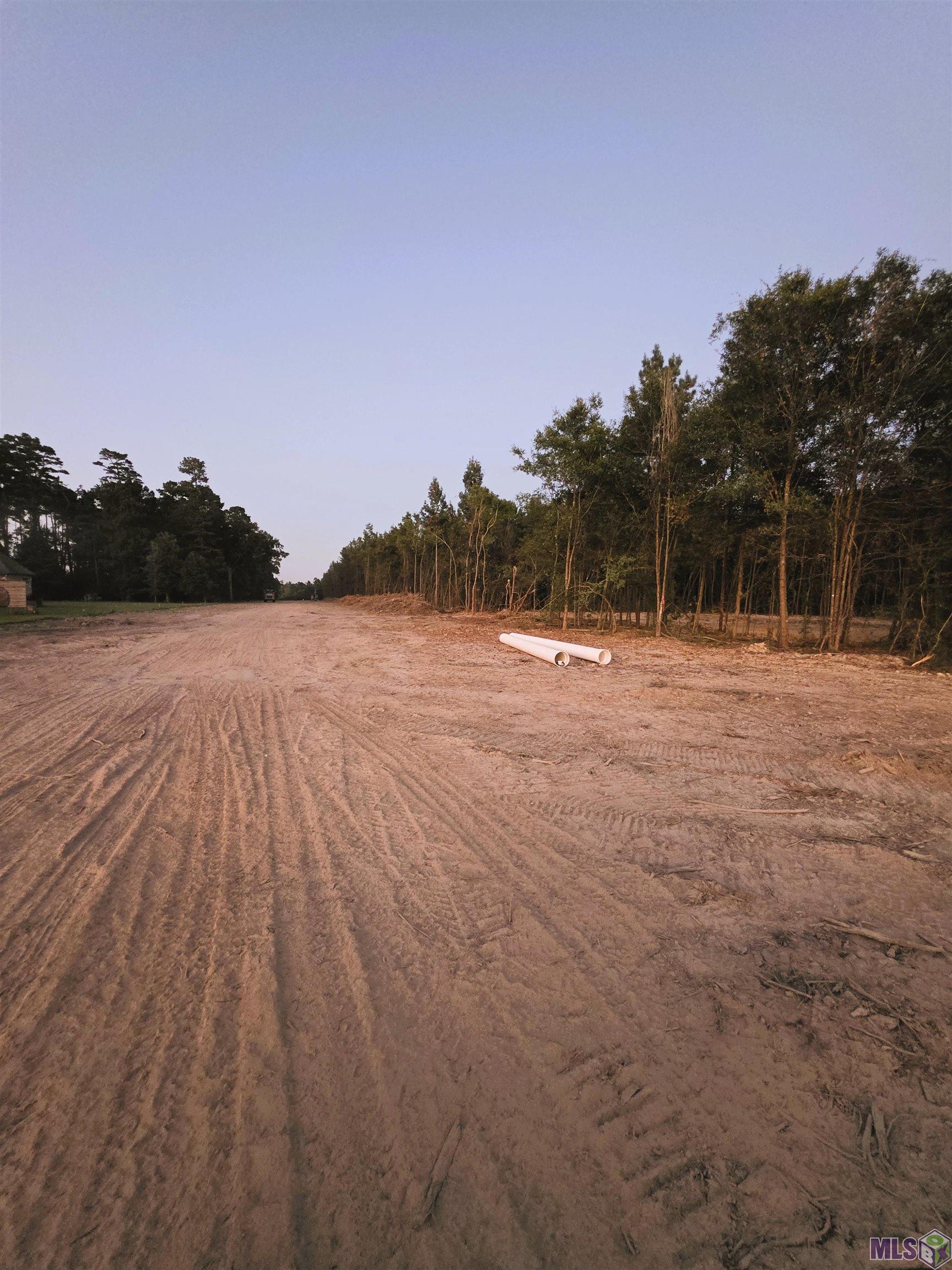 17243 Jack Allen Road Livingston, LA 70754 - Photo 11 of 12