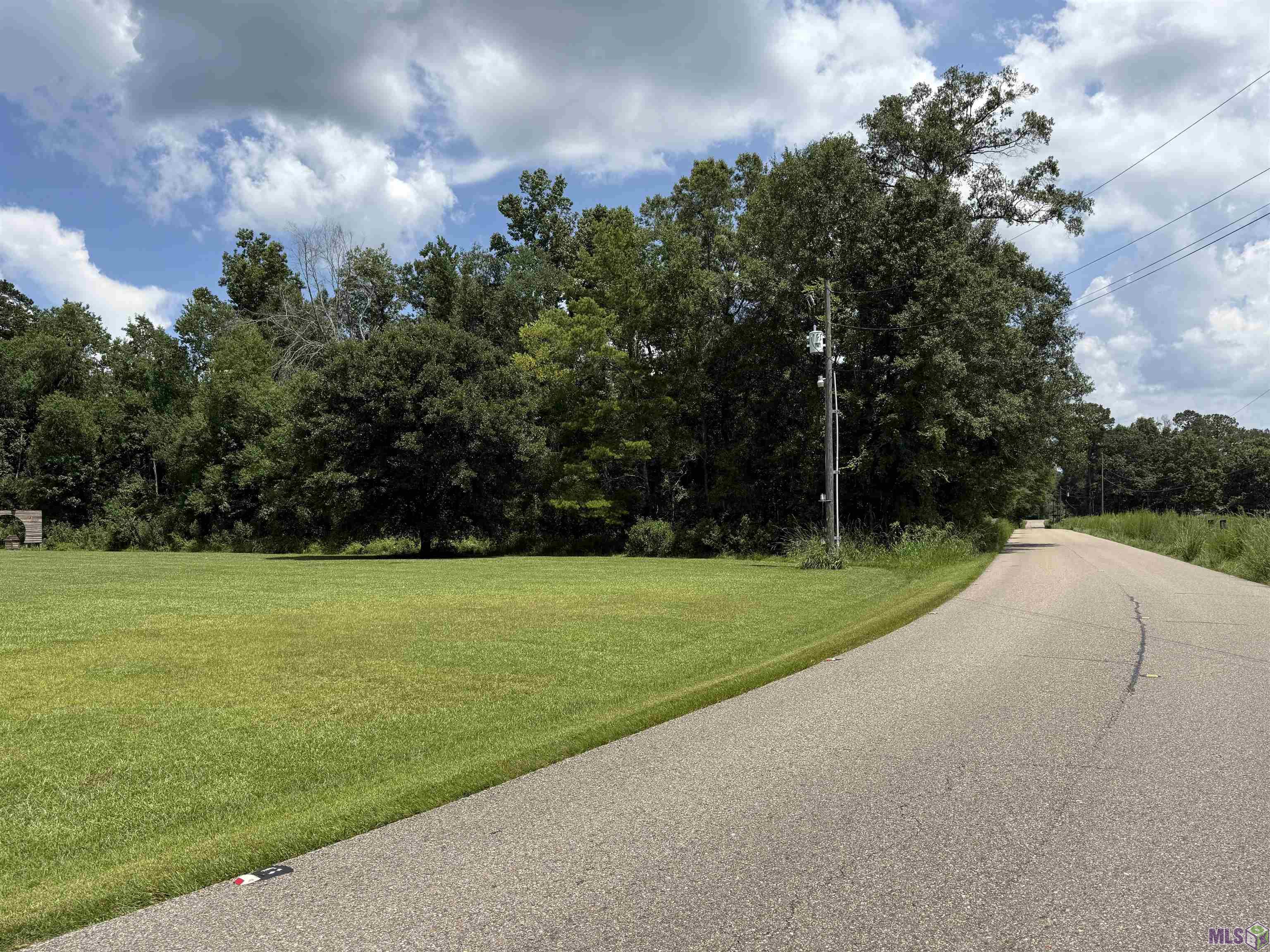 17243 Jack Allen Road Livingston, LA 70754 - Photo 12 of 12