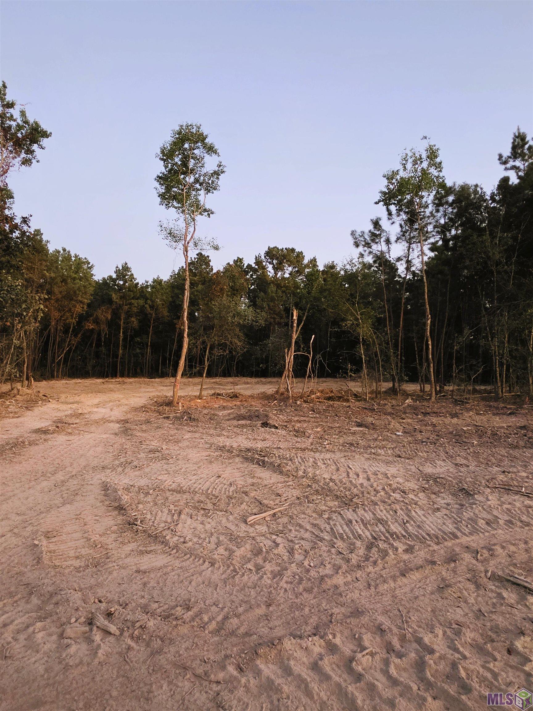 17243 Jack Allen Road Livingston, LA 70754 - Photo 3 of 12