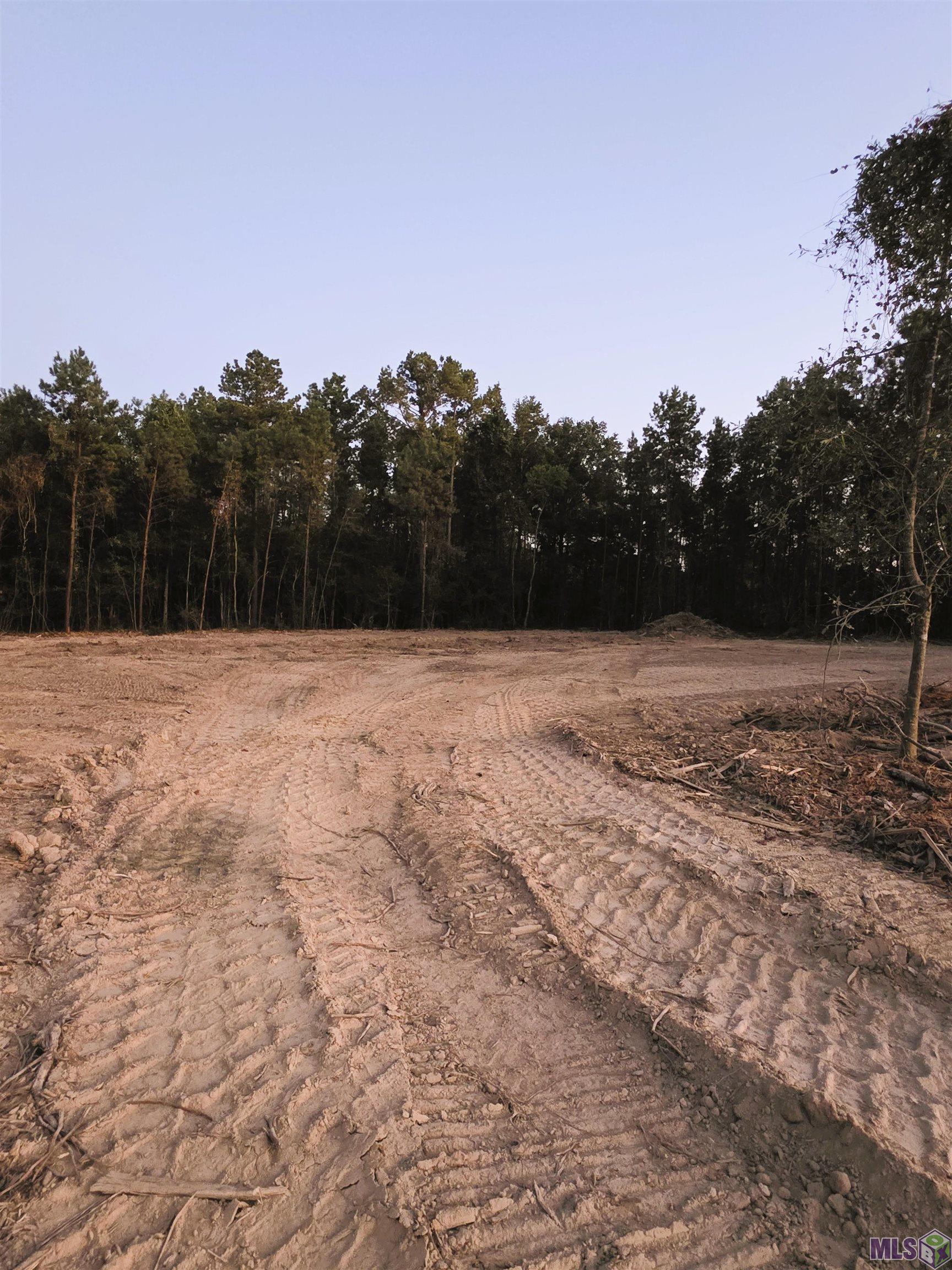 17243 Jack Allen Road Livingston, LA 70754 - Photo 4 of 12