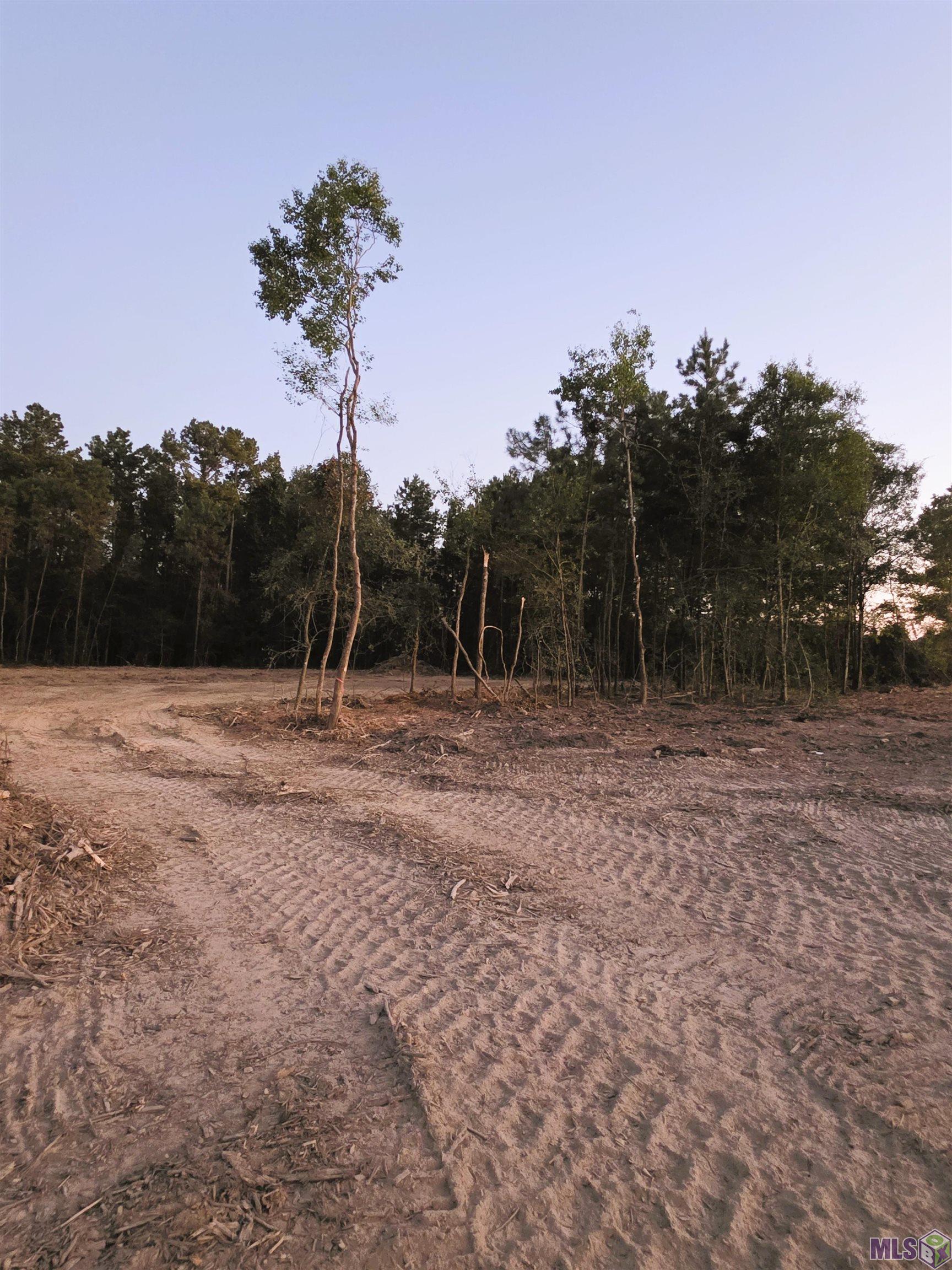 17243 Jack Allen Road Livingston, LA 70754 - Photo 5 of 12
