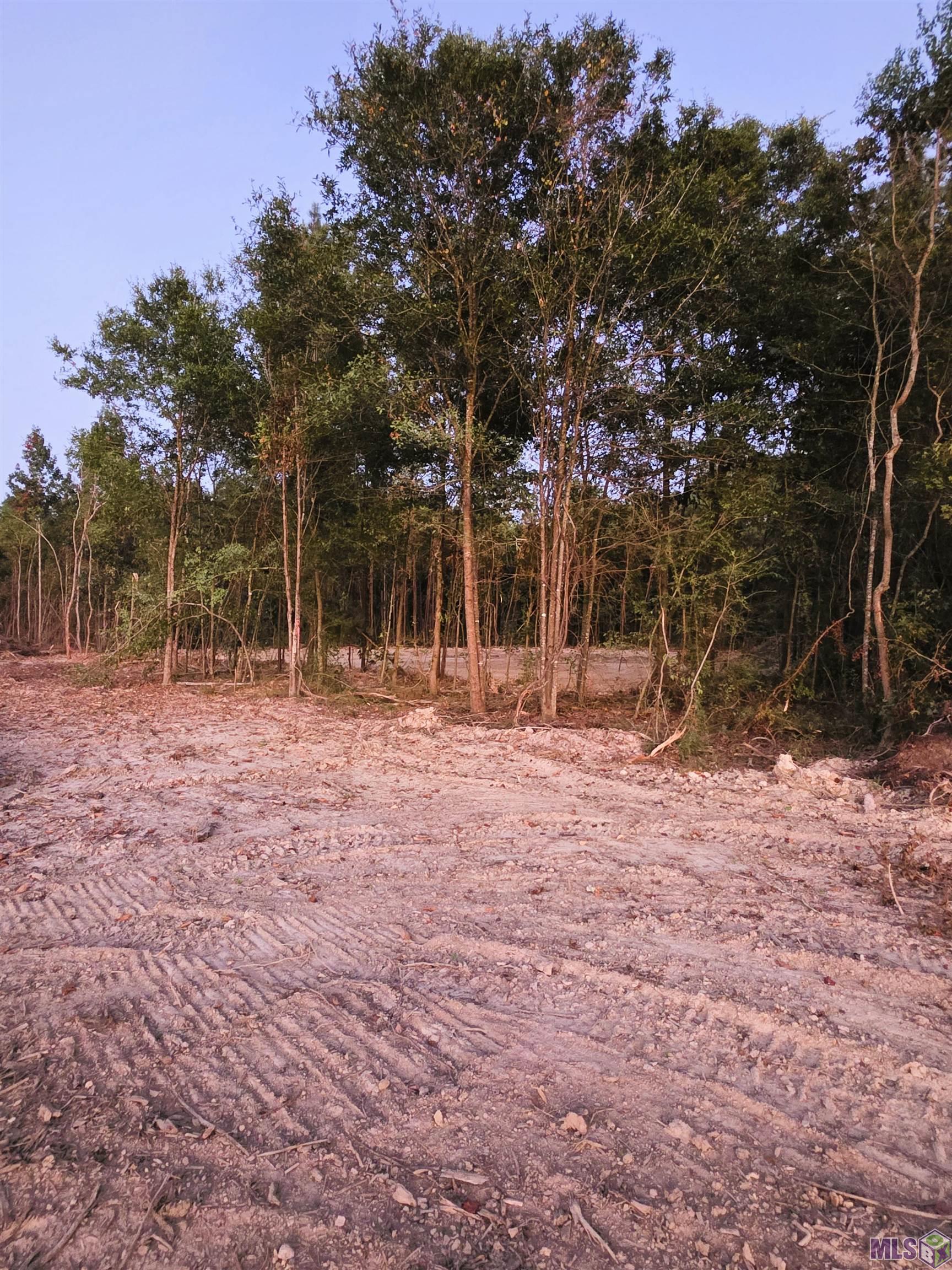 17243 Jack Allen Road Livingston, LA 70754 - Photo 8 of 12