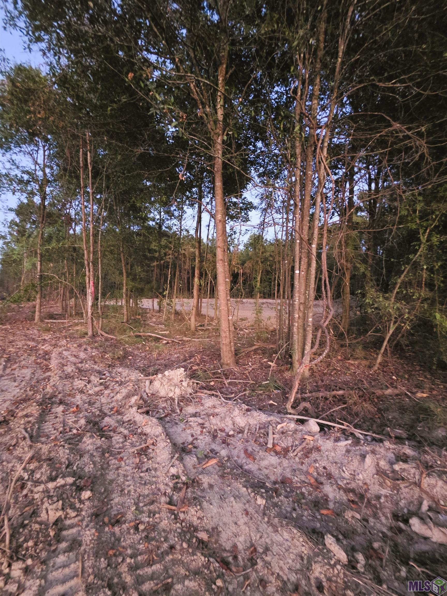 17243 Jack Allen Road Livingston, LA 70754 - Photo 9 of 12