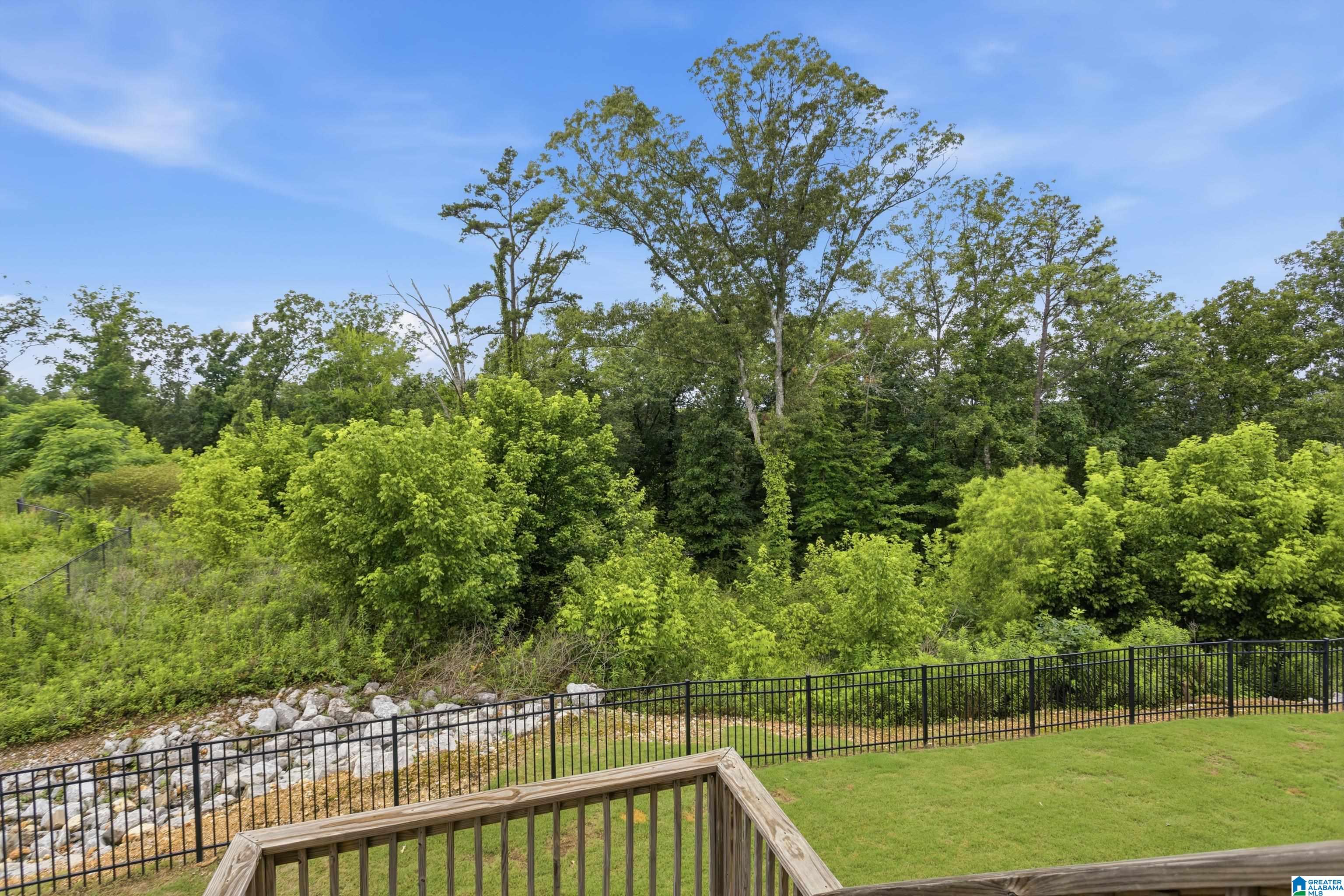 1061 Camellia Ridge Drive Pelham, AL 35124 - Photo 50 of 62