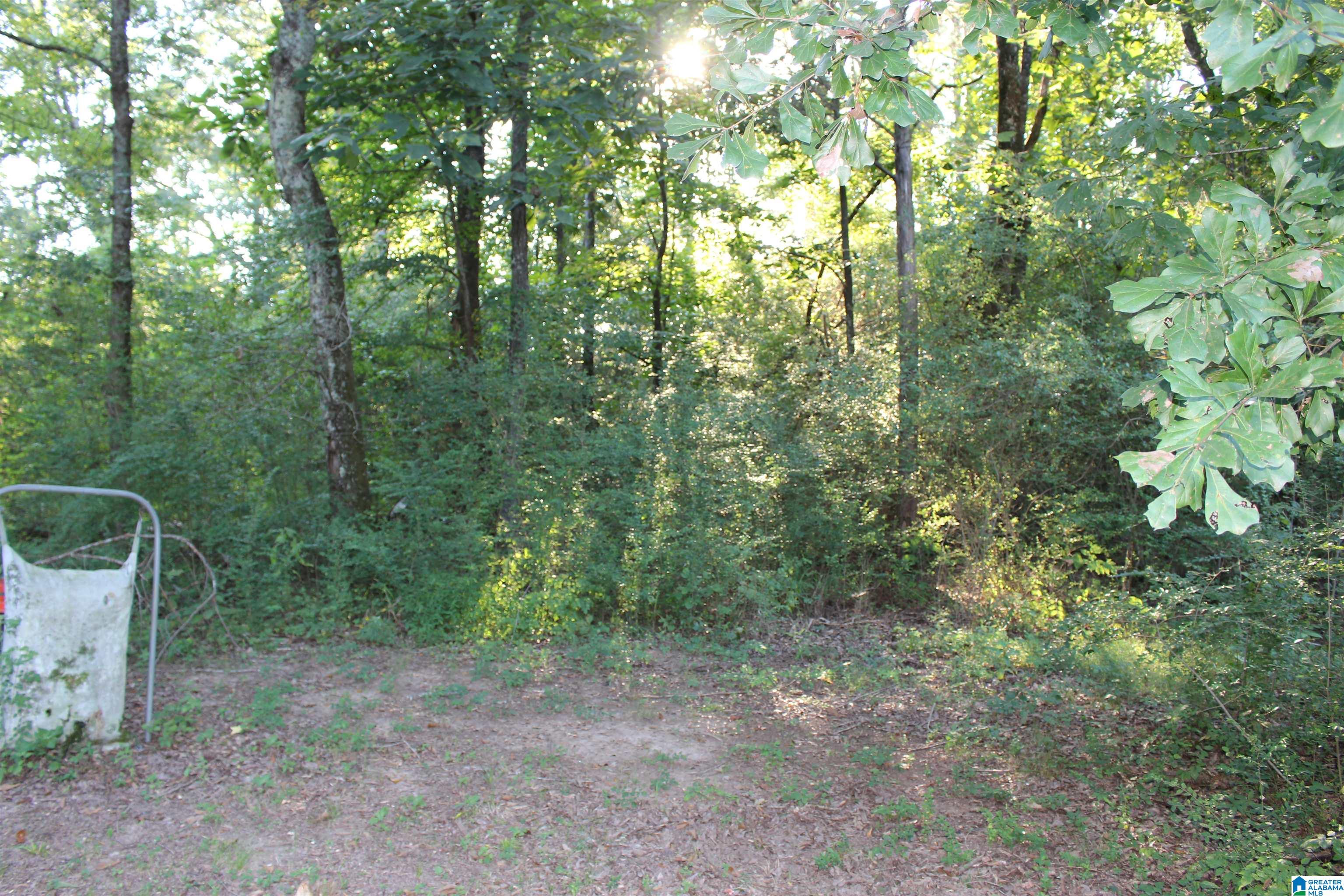 80 County Road 72 Danville, AL 35619 - Photo 6 of 11