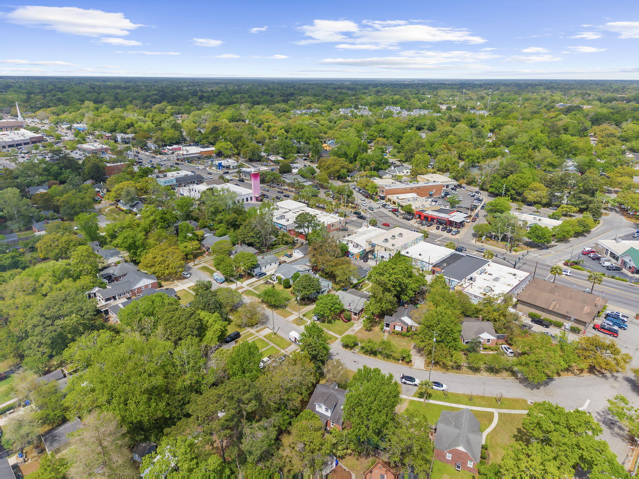 3 Craven Avenue Charleston, SC 29407 - Photo 49 of 56 Aerial Behind Avondale