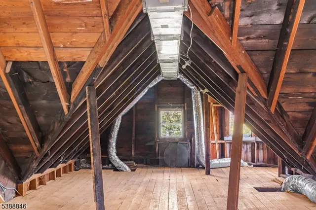 a backyard of a house with plants and large tree