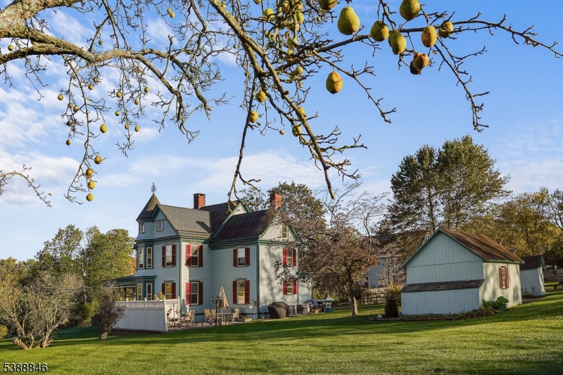 25 Old Turnpike Road Oldwick, NJ 08858 - Photo 43 of 46 a front view of a house with a garden and trees