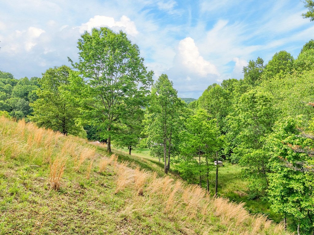 3771 Old Wilderness Road Ceres, VA 24318 - Photo 58 of 83 Gallery Image 58