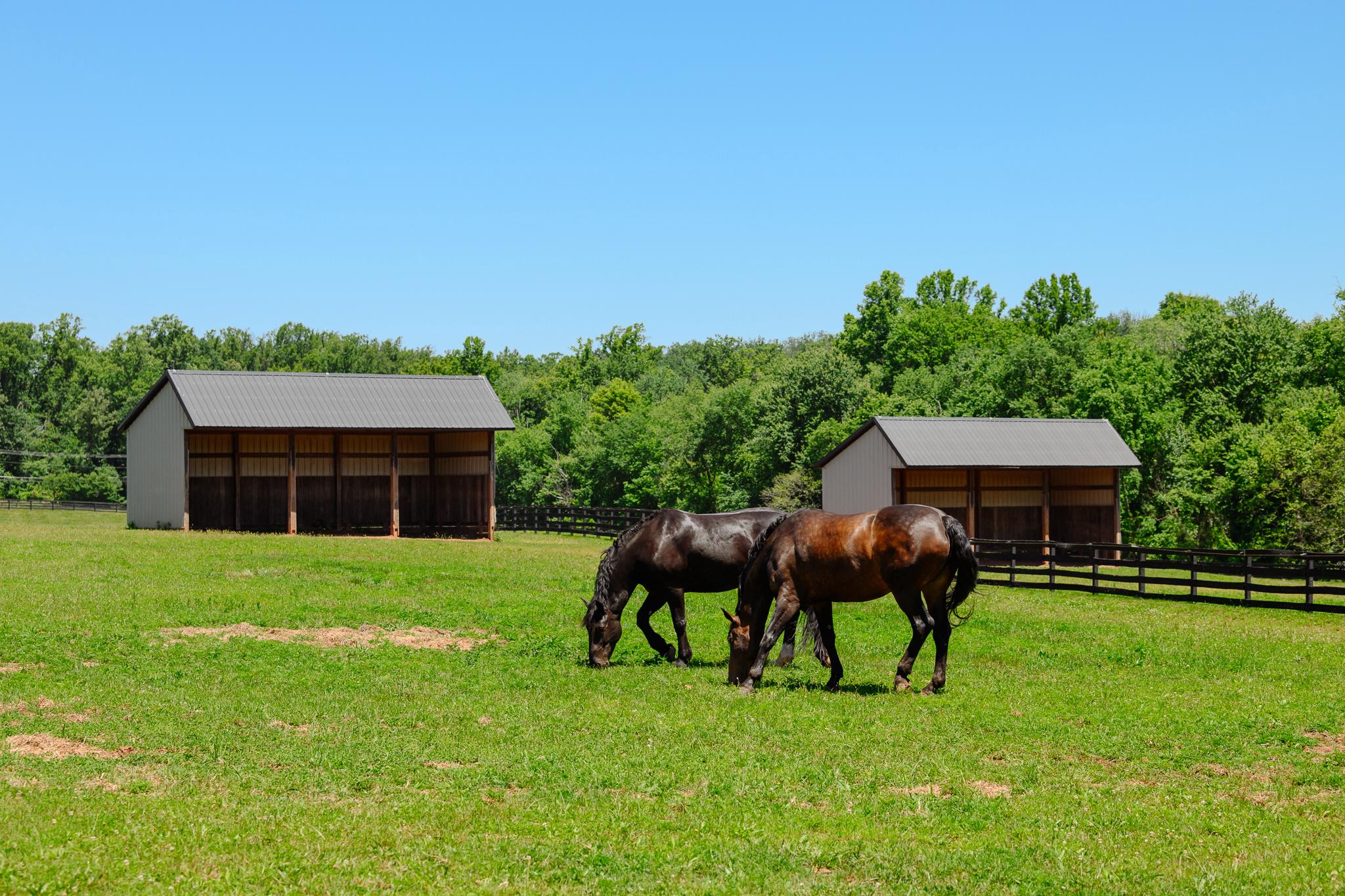 18101 Cattail Road Poolesville, MD 20837 - Photo 7 of 79 Extra tall run-in sheds in each pasture & paddock