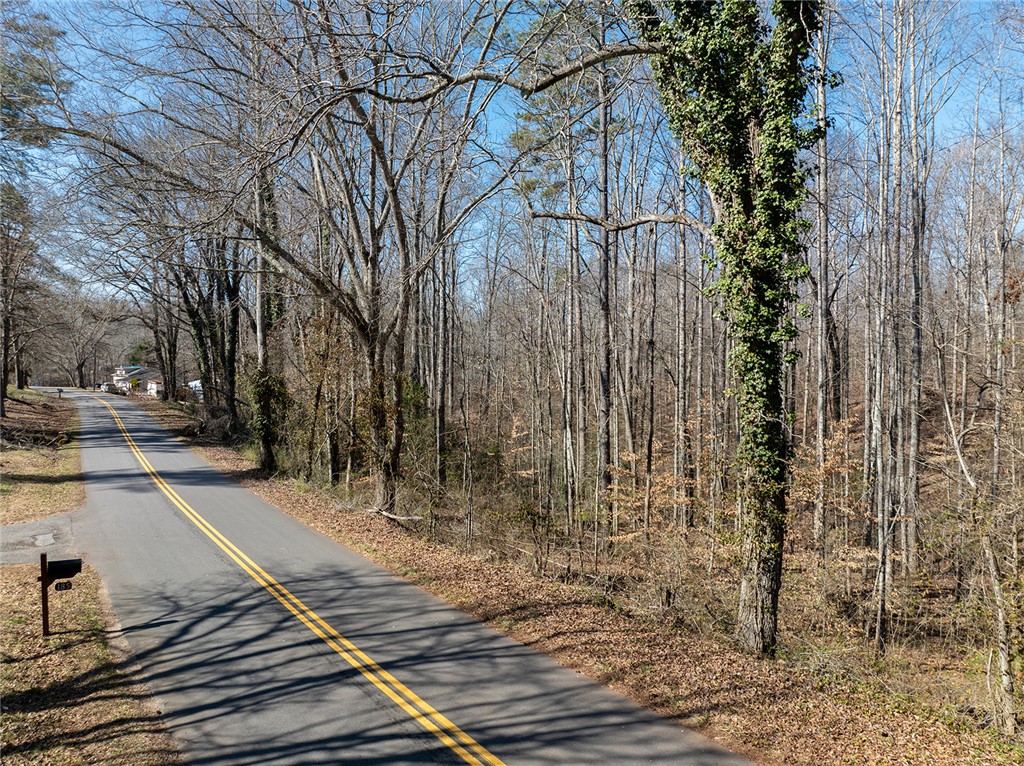 B Rices Creek Church Road Liberty, SC 29657 - Photo 3 of 12 Gallery Image 3
