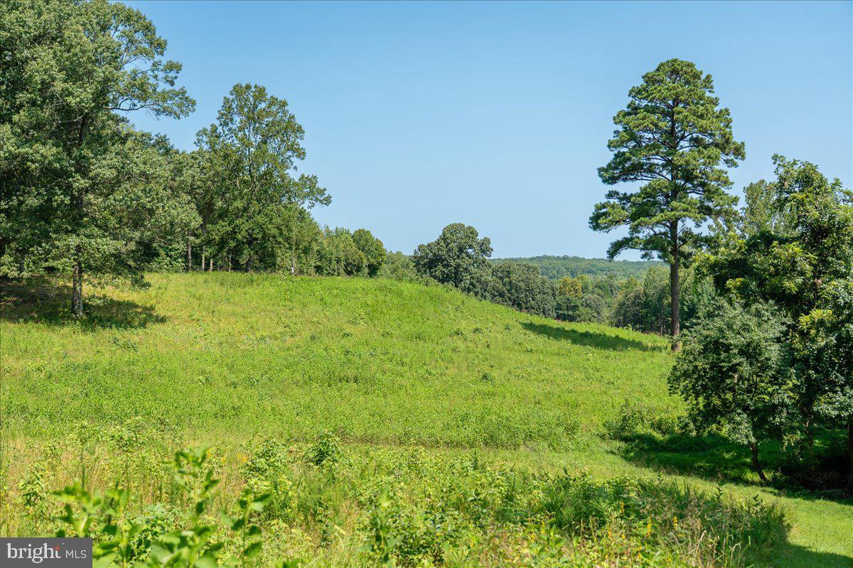 15497 Ridge Road King George, VA 22485 - Photo 102 of 108 Bring the horses