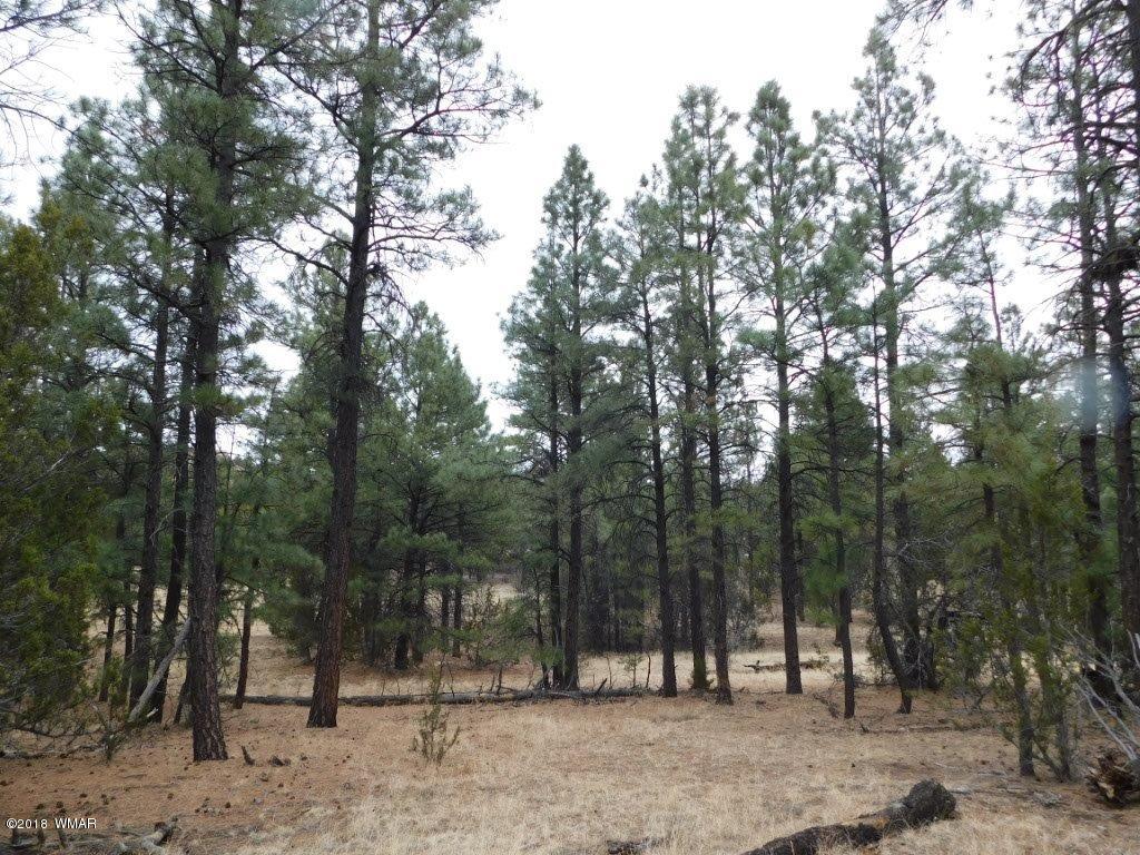 012 B Homestead Overgaard, AZ 85933 - Photo 2 of 9