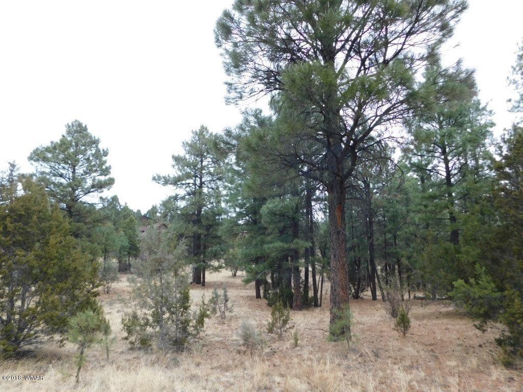 012 B Homestead Overgaard, AZ 85933 - Photo 3 of 9