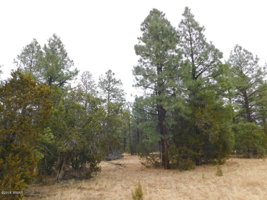 012 B Homestead Overgaard, AZ 85933 - Photo 5 of 9