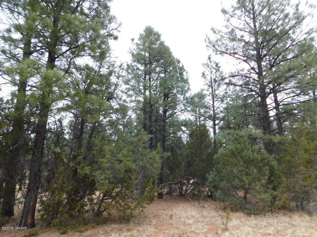 012 B Homestead Overgaard, AZ 85933 - Photo 6 of 9