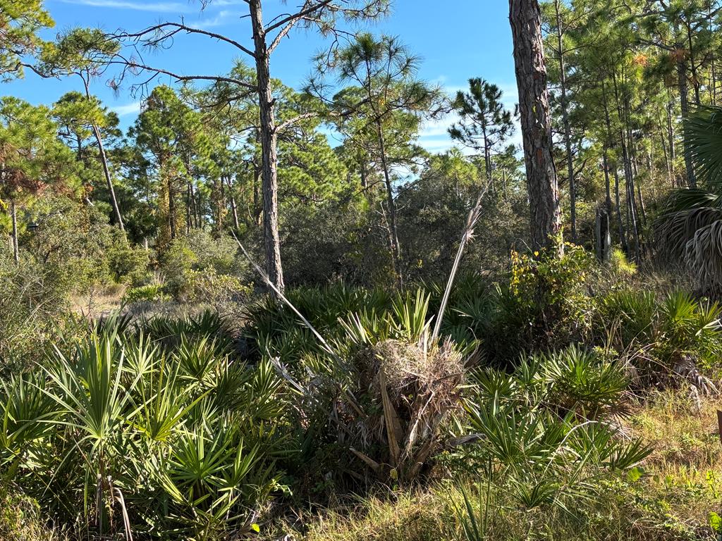 1012 Porter Street St. George Island, FL 32328 - Photo 7 of 22
