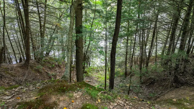 $224,900 | W9346 Woodlawn Drive, Holcombe, WI 54745