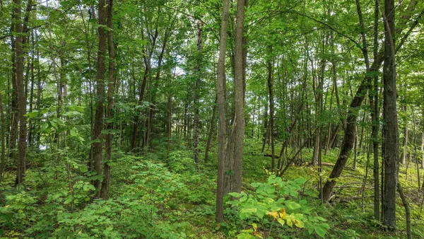 $199,900 | W9346 Woodlawn Drive, Holcombe, WI 54745