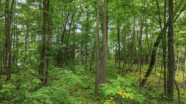 $224,900 | W9346 Woodlawn Drive, Holcombe, WI 54745