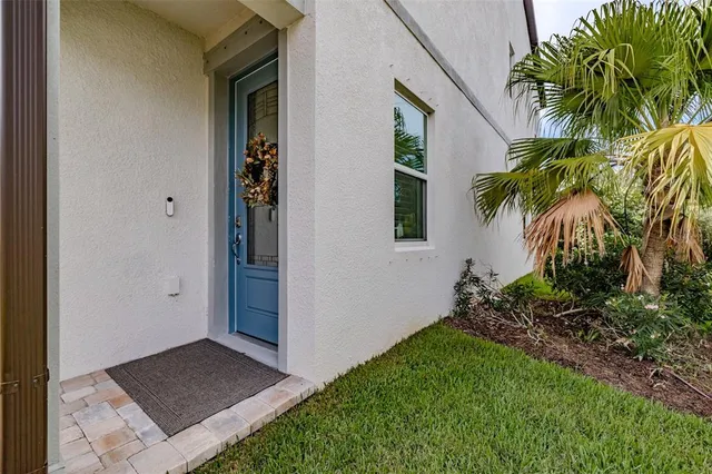 a view of a backyard with potted plants
