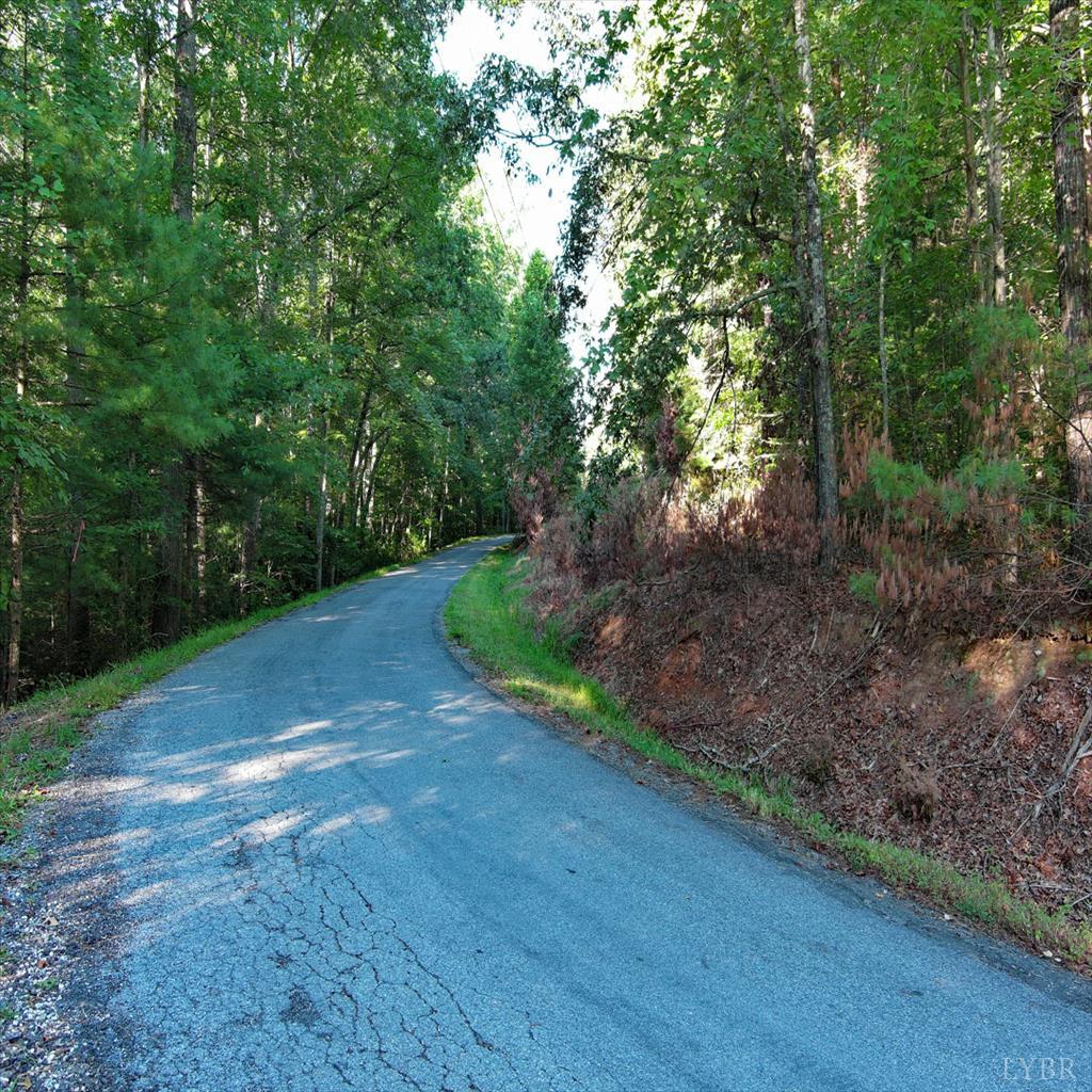0 Dancing Creek Road Monroe, VA 24574 - Photo 11 of 13 a view of a yard with plants and large trees