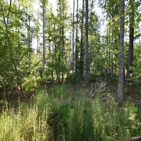 a view of lake with green space
