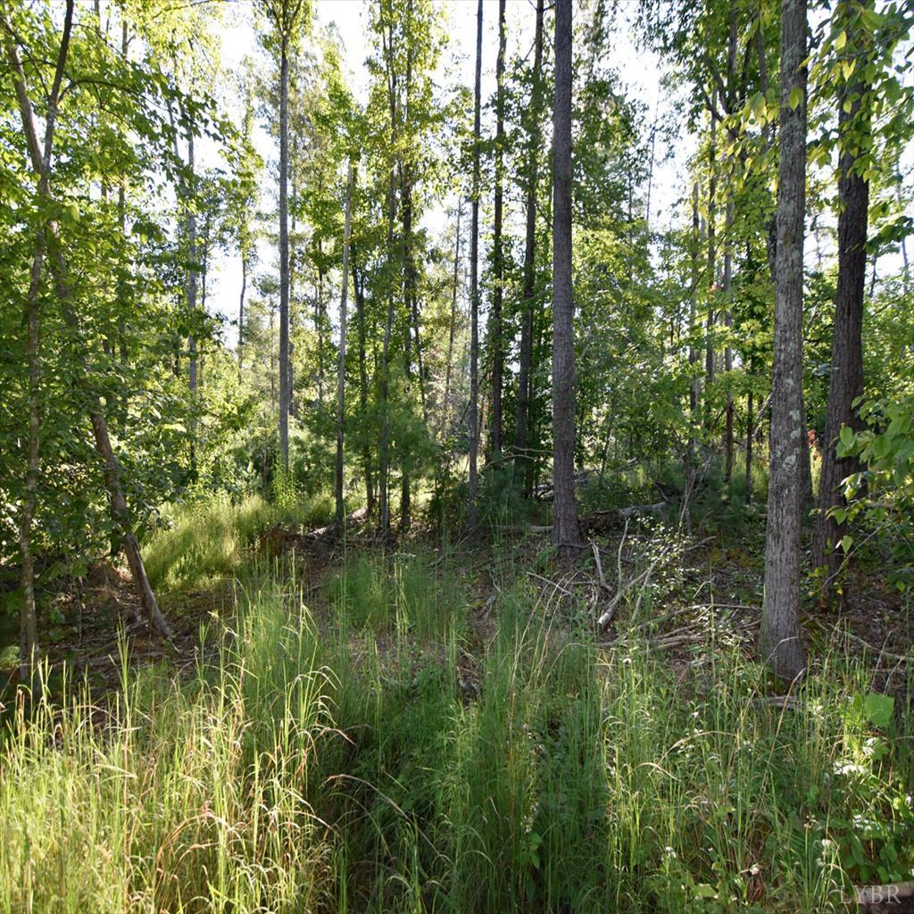 0 Dancing Creek Road Monroe, VA 24574 - Photo 12 of 13 a view of lake with green space