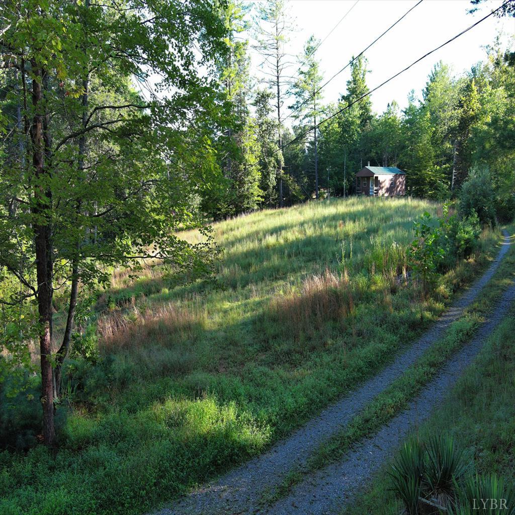 0 Dancing Creek Road Monroe, VA 24574 - Photo 13 of 13 a view of a garden with a lake