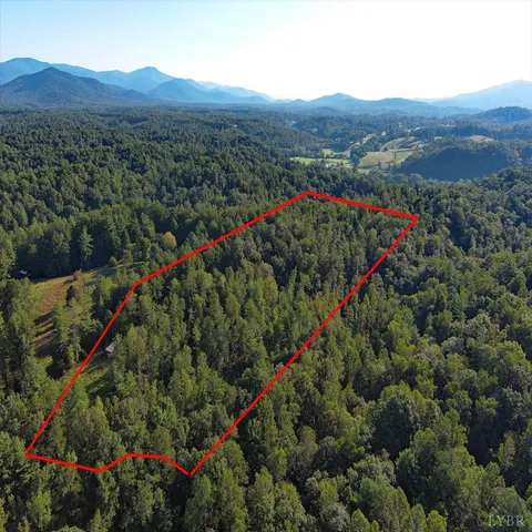 a view of a lush green hillside and a houses